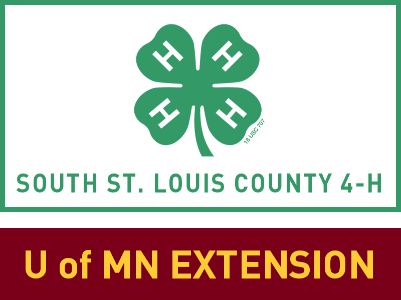 Fair Logo